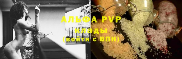 прущие грибы Магадан