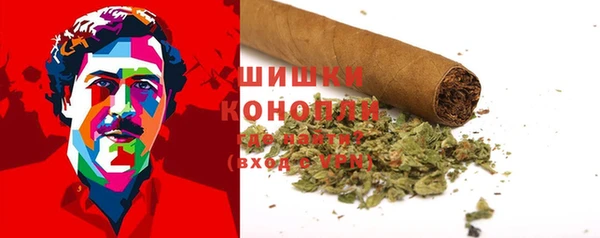 прущие грибы Магадан