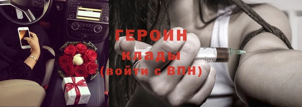 прущие грибы Магадан