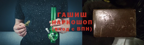 прущие грибы Магадан