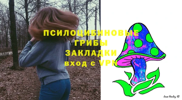 прущие грибы Магадан