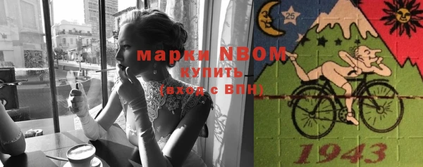 прущие грибы Магадан