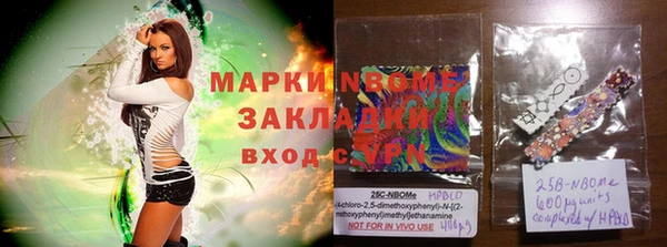 прущие грибы Магадан