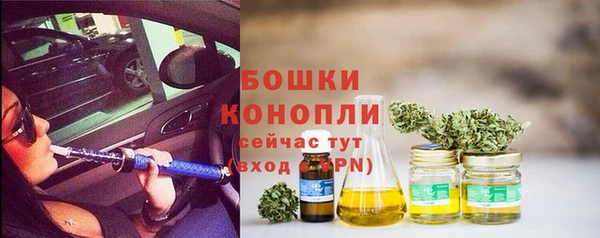 прущие грибы Магадан