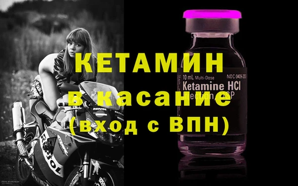 прущие грибы Магадан