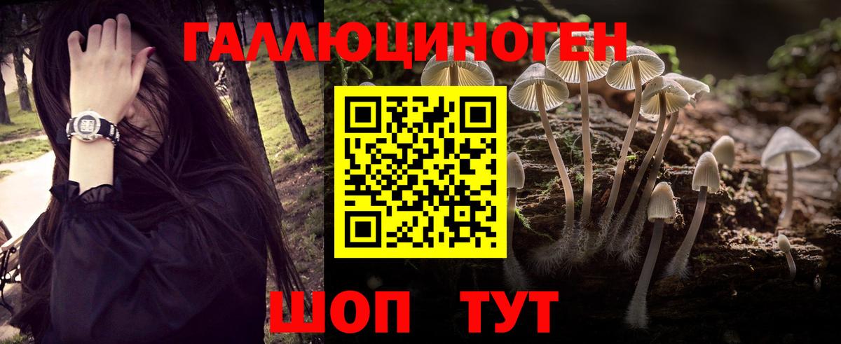 Псилоцибиновые грибы Psilocybe  Вход с VPN  Омск  Псилоцибиновые грибы GOLDEN TEACHER 