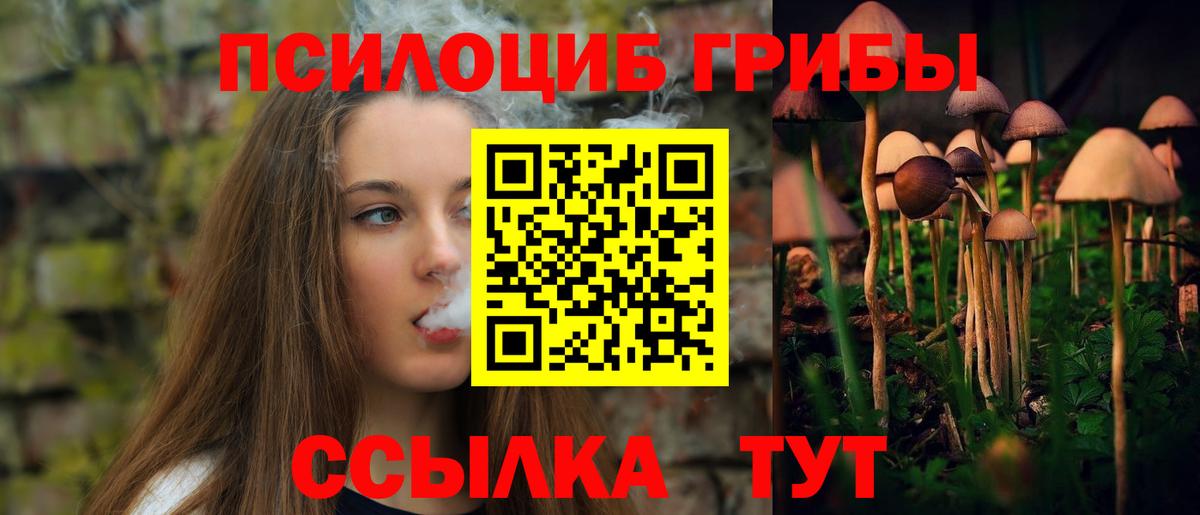 Галлюциногенные грибы Psilocybe Омск